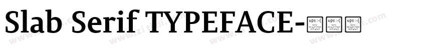 Slab Serif TYPEFACE字体转换 Slab Serif TYPEFACE字体转换